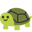 shellboi