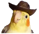 howdy