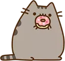 catD