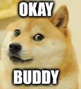 okbuddy