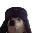 pupperR