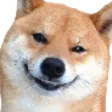 pupperX