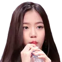 lenasip