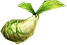 mokoko