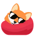 blobfoxbeansunglasses