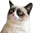 hiroGrump