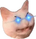 catt