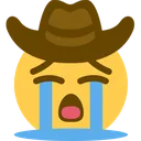 sobcowboy