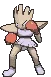 hitmonchan hitmonchan
