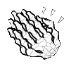 skeletonhandsclap