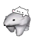 bongobear