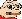 lionFeeIsWeird