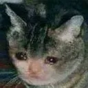 sadcat Discord Emoji