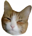 hapbug hapbug