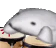 Bongo_bear