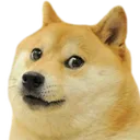 doge