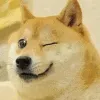 WINK WINK