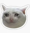 crycat
