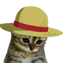 Luffysadcat Luffysadcat