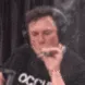 elon3
