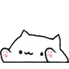 bongocat