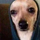 sadboi