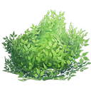 Bush Discord emoji