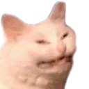 hiss