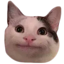 wellShit