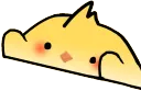 birdbongo