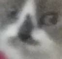 mhm
