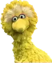 bigbirdwhat