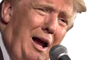 TrumpSpeech