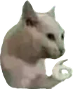 okidoki