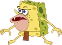 theheck theheck