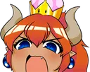 bowsetteRawr
