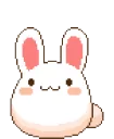 BunnyHype