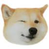 DoggoWink Discord emoji