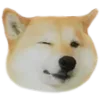 DoggoWink