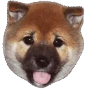 excite