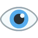 Eye