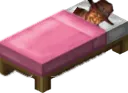 sleep_flan