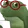v_falemaisSTS
