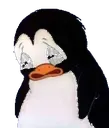 feelspengyman