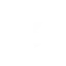 Sidearm