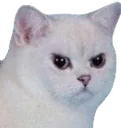 fugoff