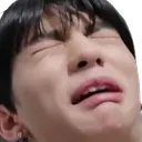 hyunjincrie Discord Emoji