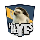 hahayes2