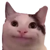 regNeutral
