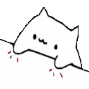 abongocat